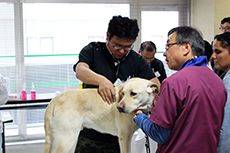 補助犬健康診断