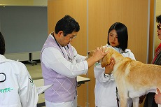 第34回補助犬健康診断